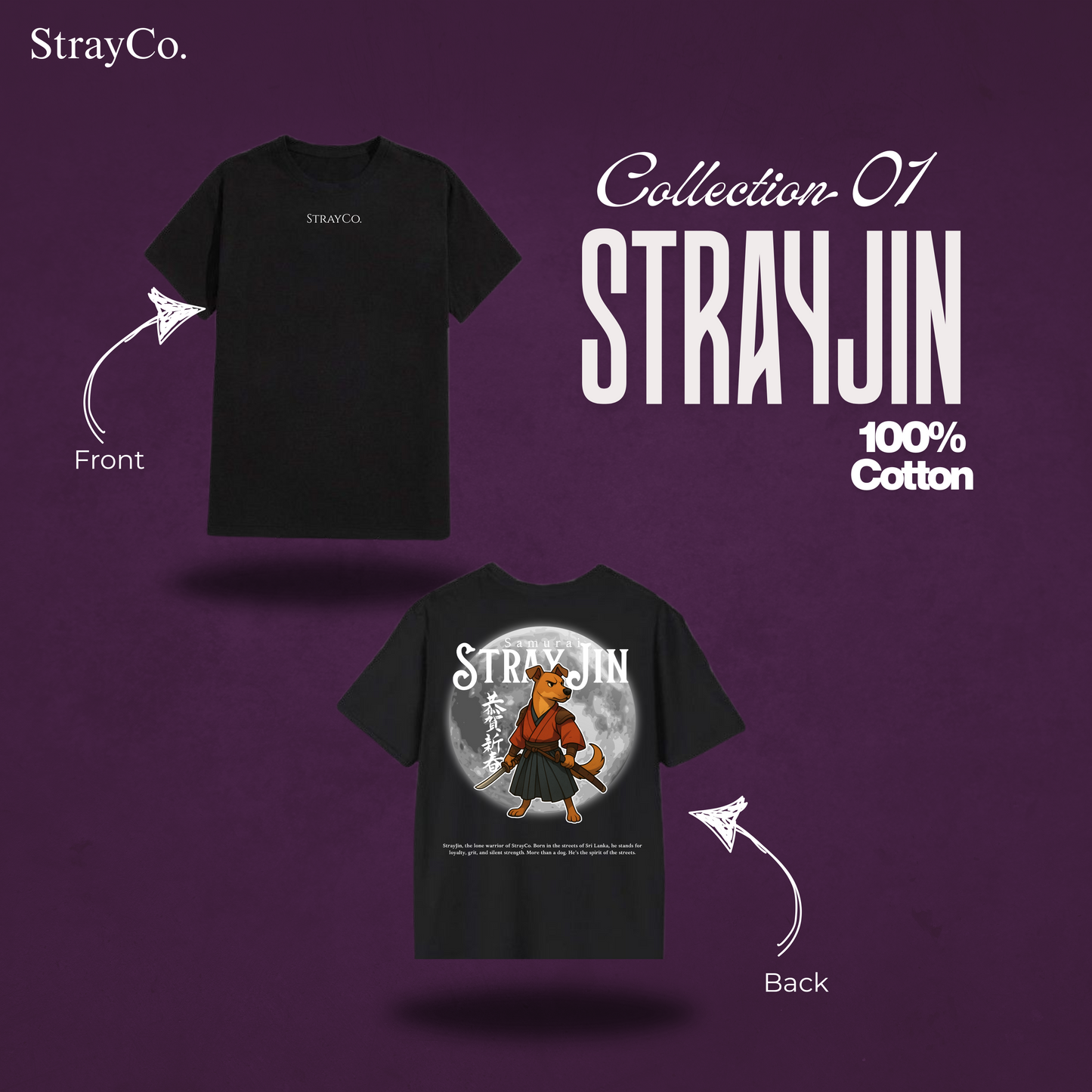 StrayJin: Spirit of the Streets